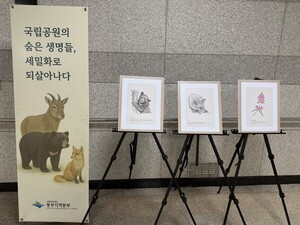 국립공원의 숨은 생명들, 세밀화로 되살아나다
